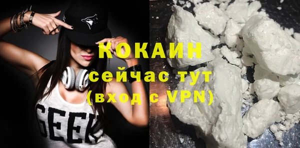 молекула духа Алексин